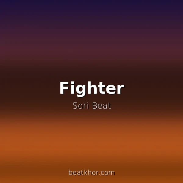 Fighter