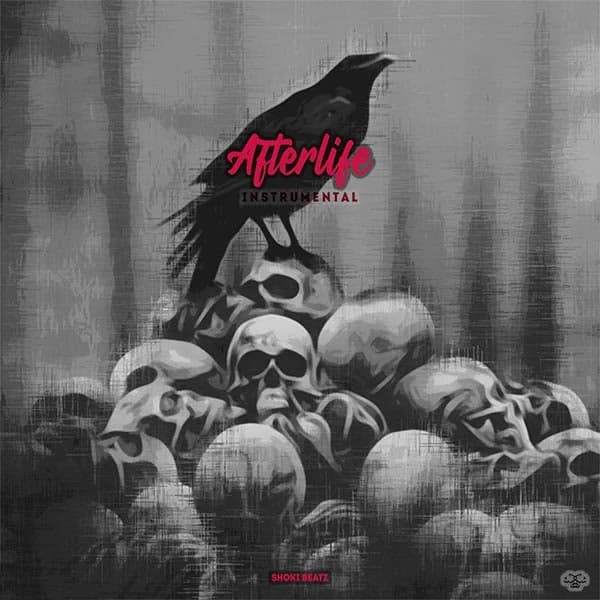 Afterlife