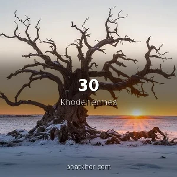 30
