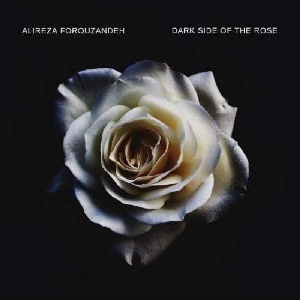 Darkside Of The Rose