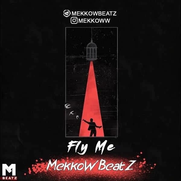 Fly Me