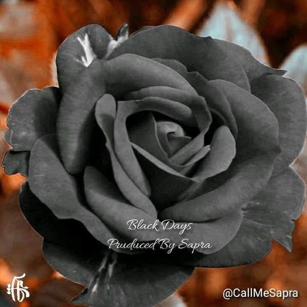 Black Days