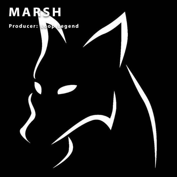 Marsh