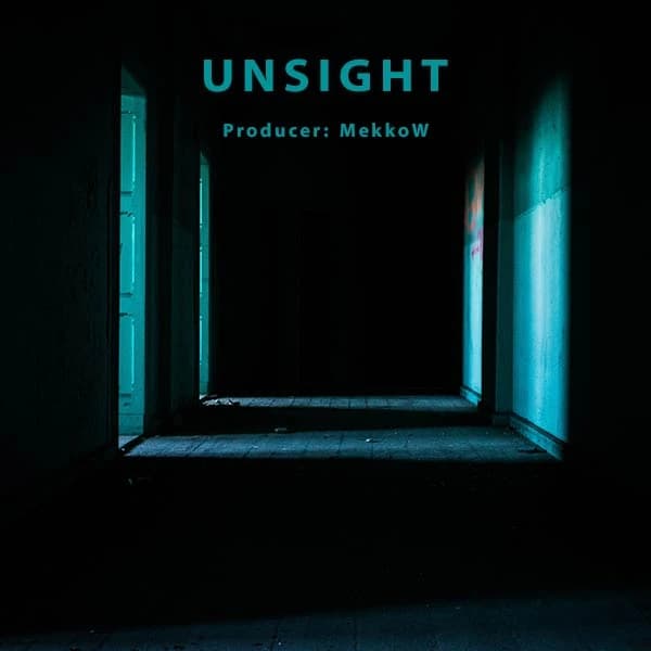 UnSight