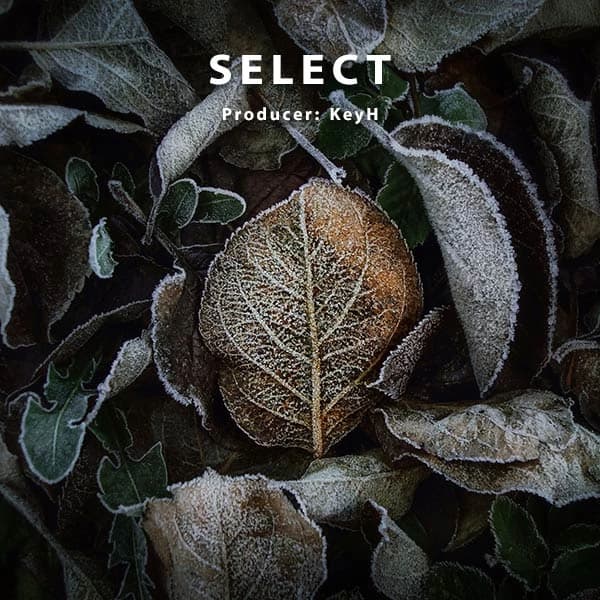 Select