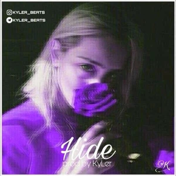 Hide