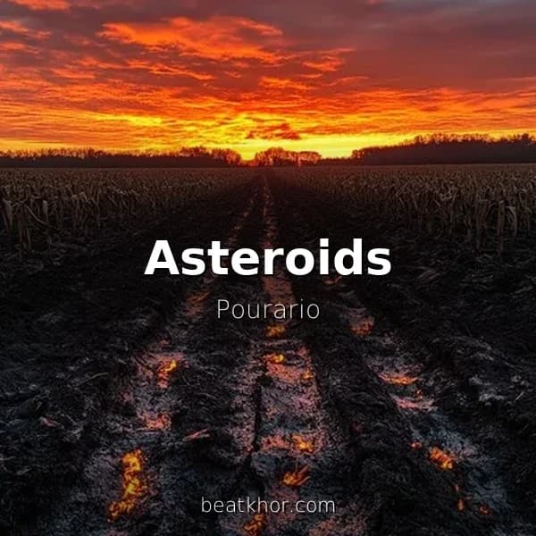 Asteroids