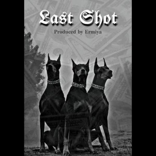 Last Shot