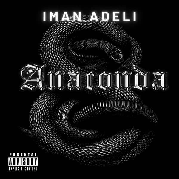 Anaronda