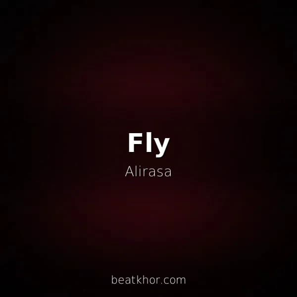 Fly