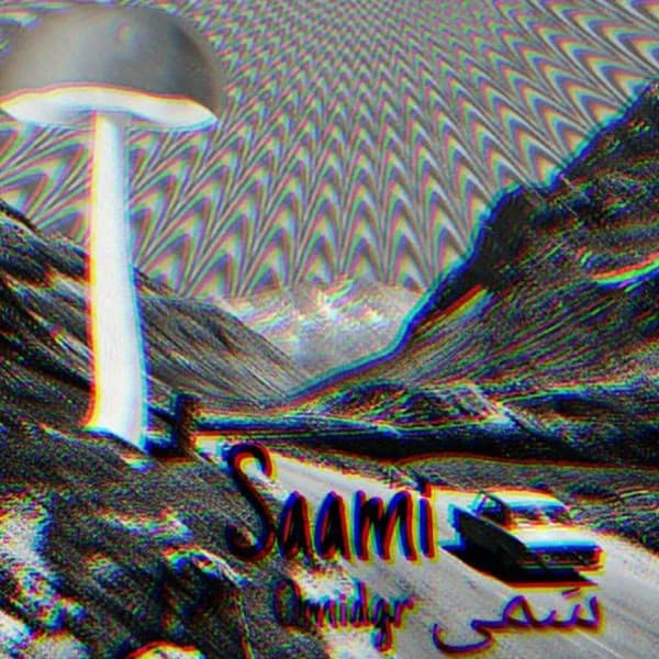 SAAMI