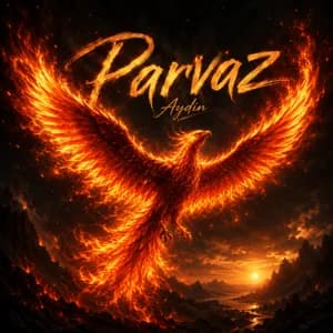 Parvaz By