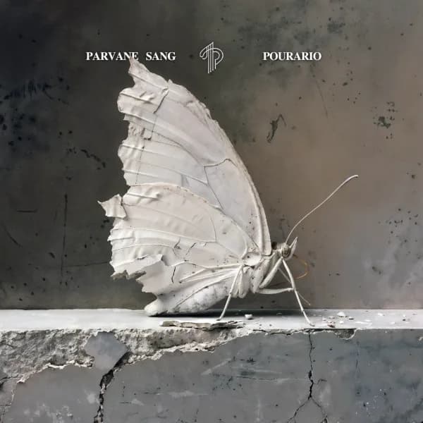 Parvane Sang