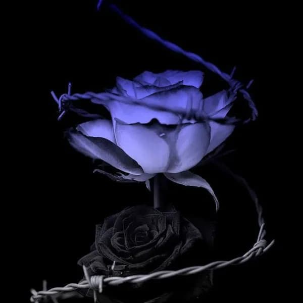 Fade In Blue