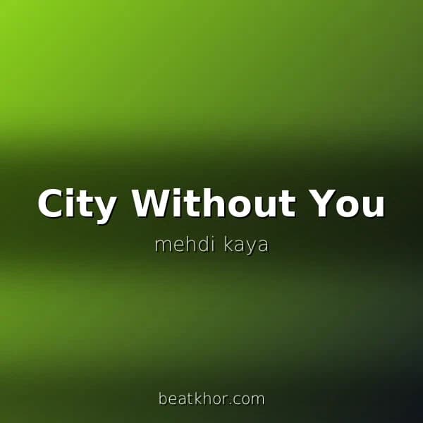 City Without You
