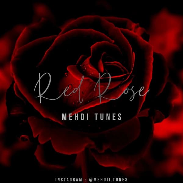 Red Rose