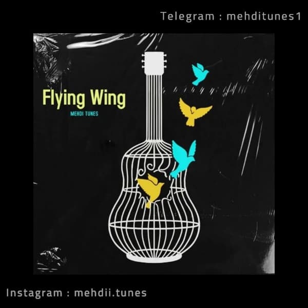 Flying Wing