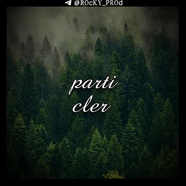 particular