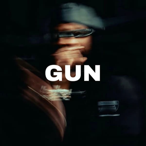 Gun
