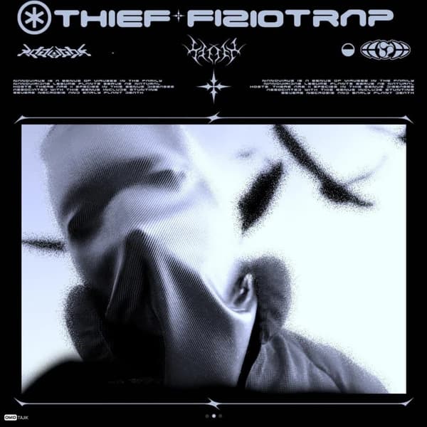 Thief