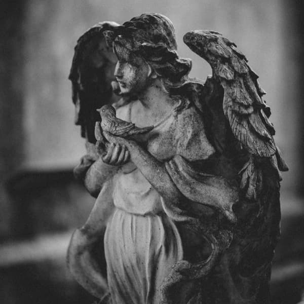ANGEL