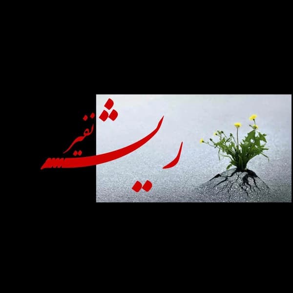 Risheh
