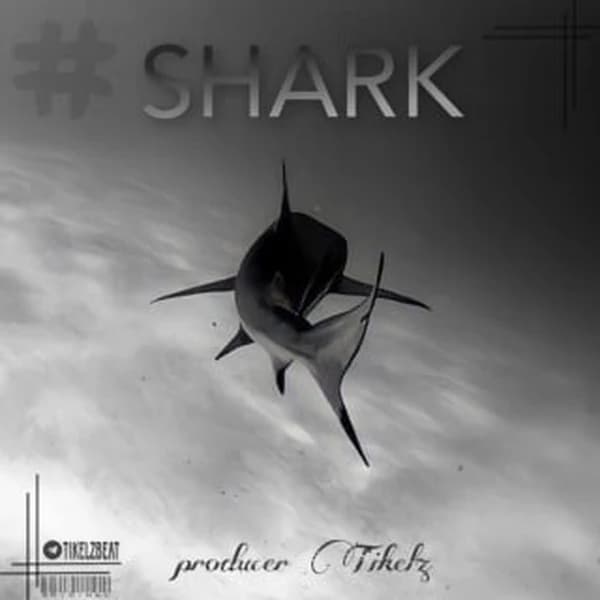 Shark