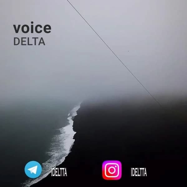 voice