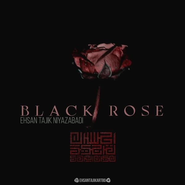 BLACK ROSE