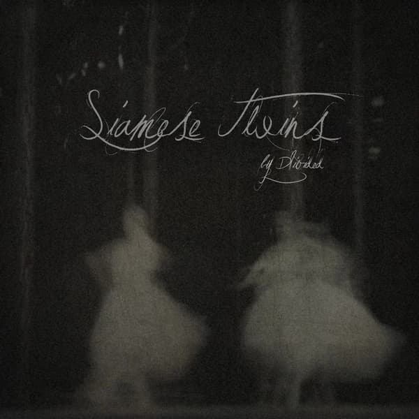 Siamese Twins