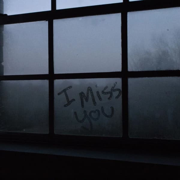I miss you (HDS)