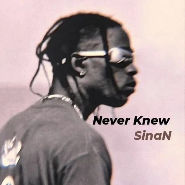Never Knew