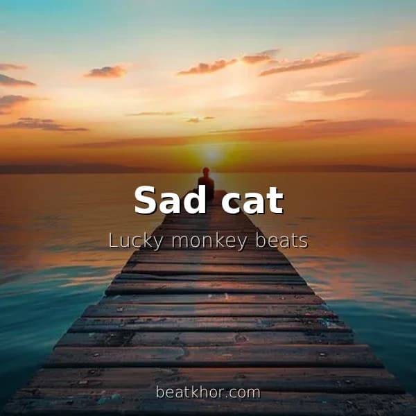 Sad cat