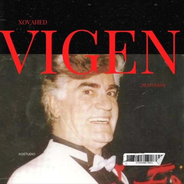 Vigen