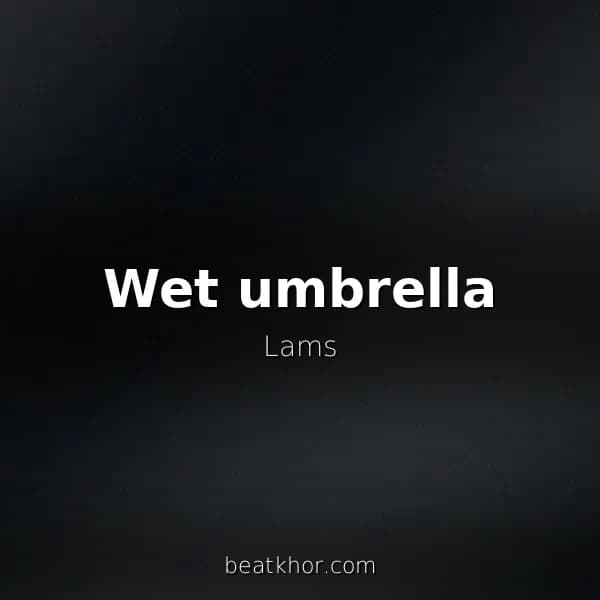 Wet umbrella